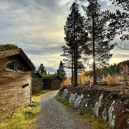 Bjornfjell Mountain * Alta